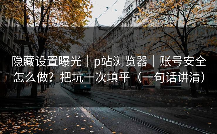隐藏设置曝光｜p站浏览器｜账号安全怎么做？把坑一次填平（一句话讲清）