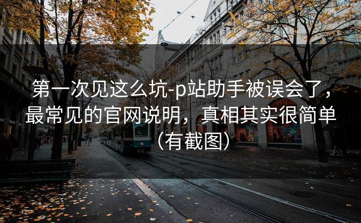 第一次见这么坑-p站助手被误会了，最常见的官网说明，真相其实很简单（有截图）