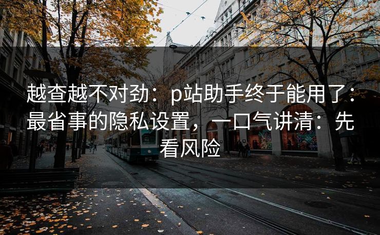越查越不对劲：p站助手终于能用了：最省事的隐私设置，一口气讲清：先看风险