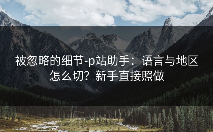被忽略的细节-p站助手：语言与地区怎么切？新手直接照做