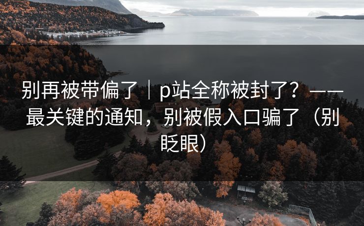 别再被带偏了｜p站全称被封了？——最关键的通知，别被假入口骗了（别眨眼）