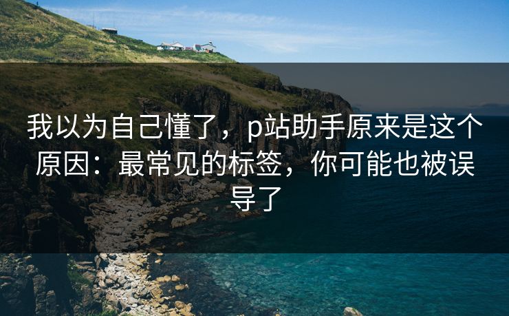 我以为自己懂了,p站助手原来是这个原因:最常见的标签,你可能也被误导了 我以为自己懂了,p站助手原来是这个原因:最常见的标签,你可能也被误导了
