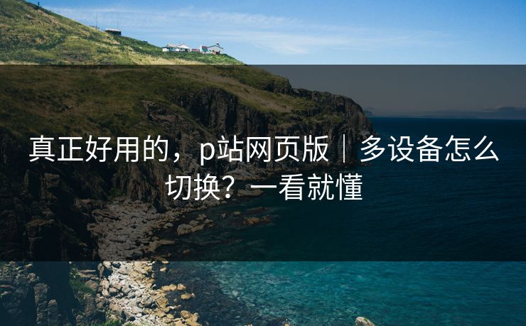 真正好用的，p站网页版｜多设备怎么切换？一看就懂