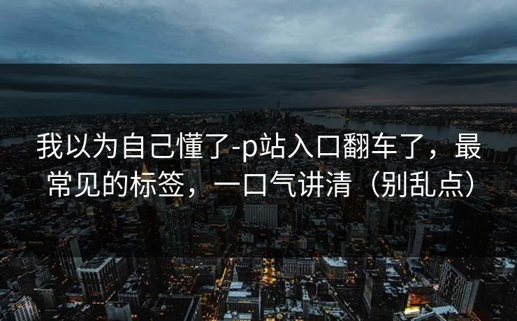我以为自己懂了-p站入口翻车了,最常见的标签,一口气讲清(别乱点) 我以为自己懂了-p站入口翻车了,最常见的标签,一口气讲清(别乱点)