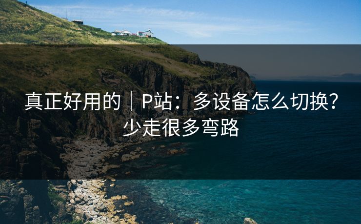 真正好用的｜P站：多设备怎么切换？少走很多弯路